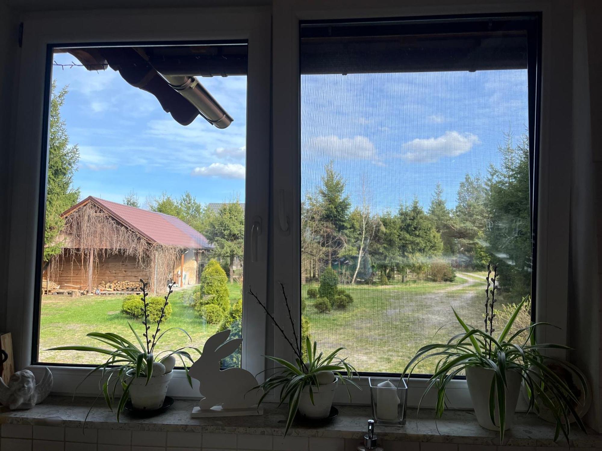 Drewniany Dom W Cudownej Okolicy "Twoja Ostoja" Villa Brusy Exteriör bild