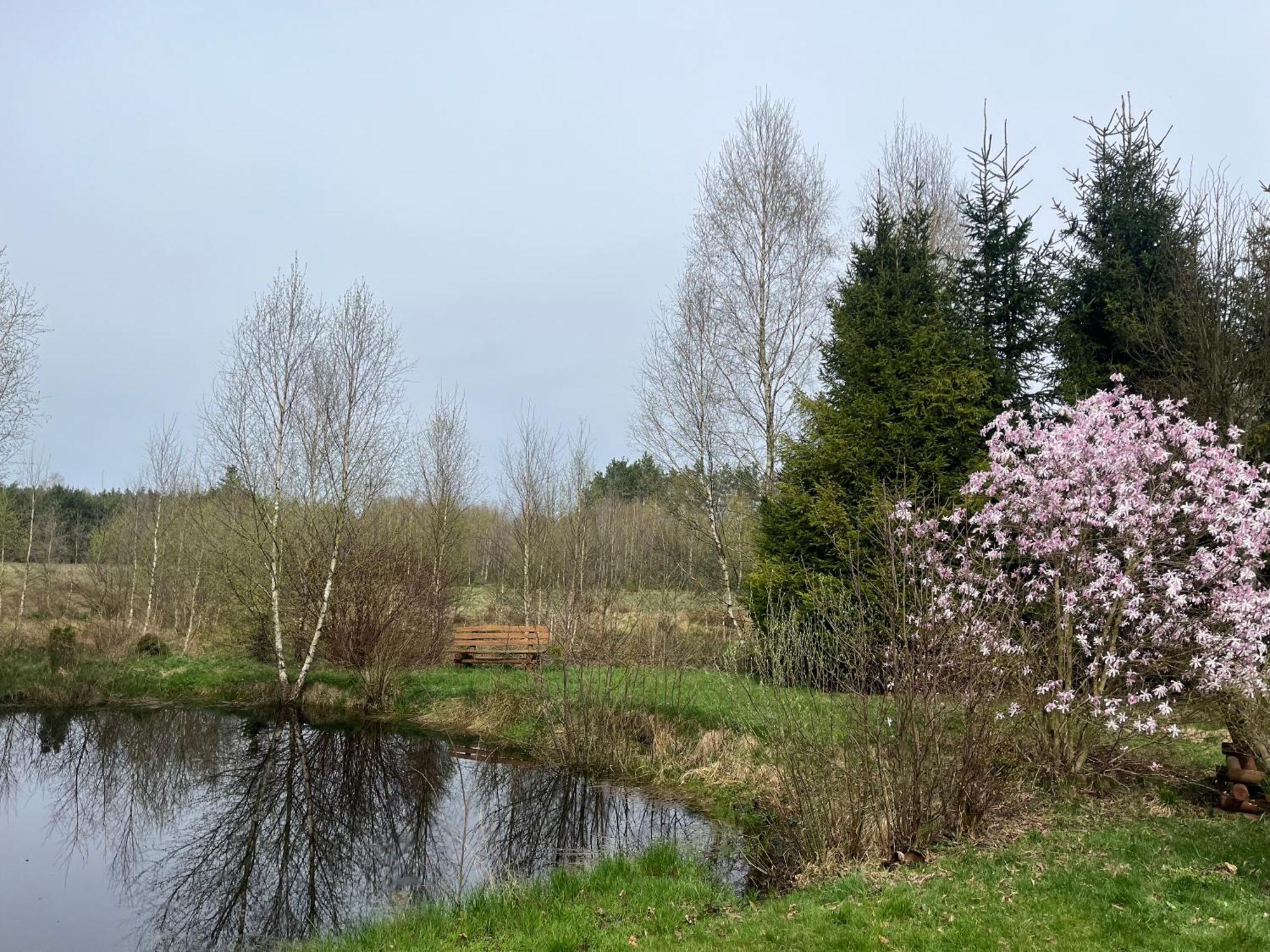 Drewniany Dom W Cudownej Okolicy "Twoja Ostoja" Villa Brusy Exteriör bild