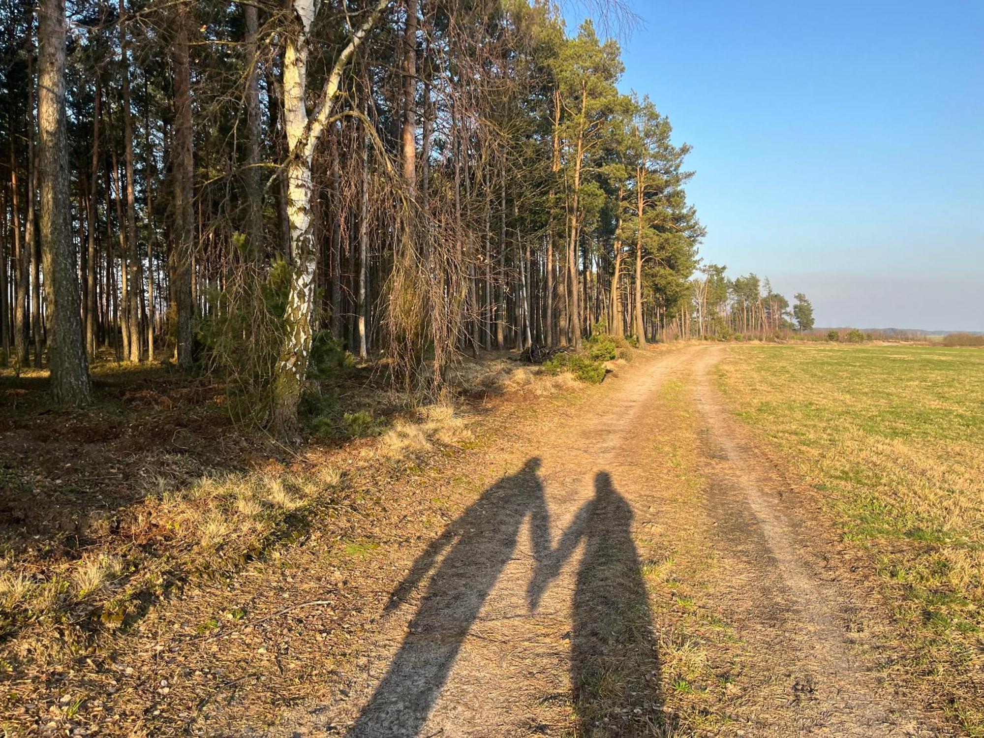 Drewniany Dom W Cudownej Okolicy "Twoja Ostoja" Villa Brusy Exteriör bild